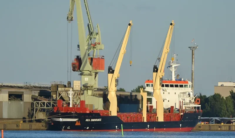 SEA ENDURANCE General Cargo IMO 9516179 photo 9