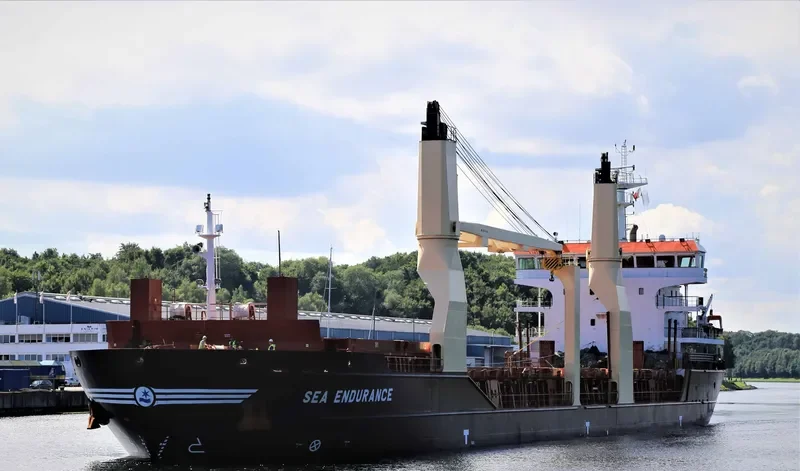 SEA ENDURANCE General Cargo IMO 9516179 photo 10