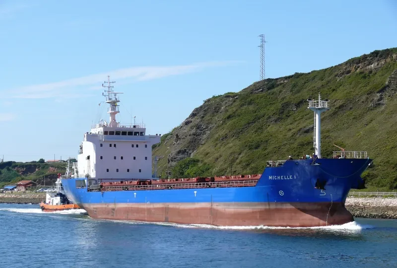 MICHELLE 1 Bulk Carrier IMO 9516246