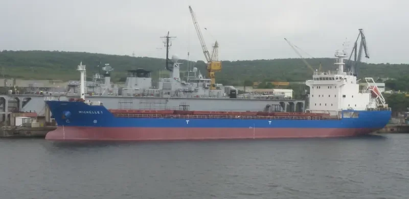 MICHELLE 1 Bulk Carrier IMO 9516246 photo 2