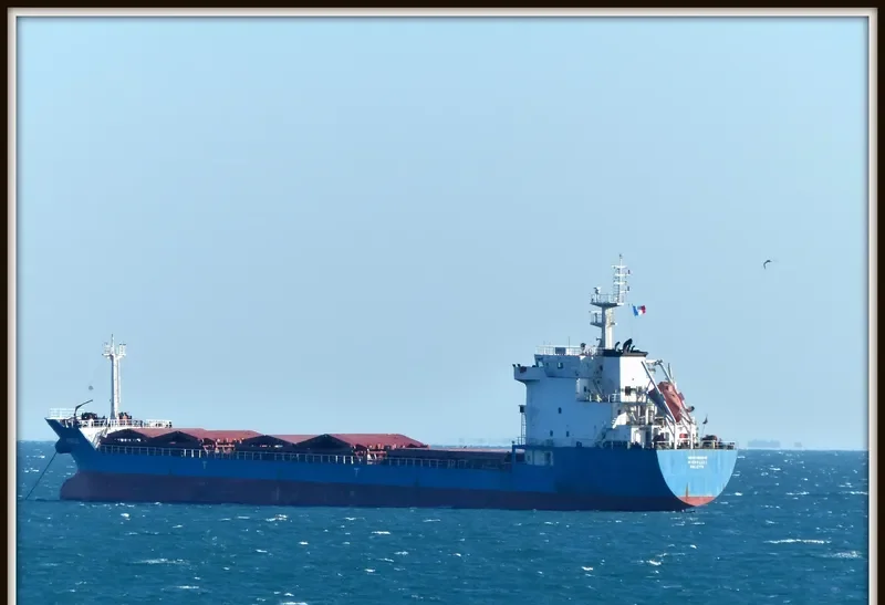 MICHELLE 1 Bulk Carrier IMO 9516246 photo 3