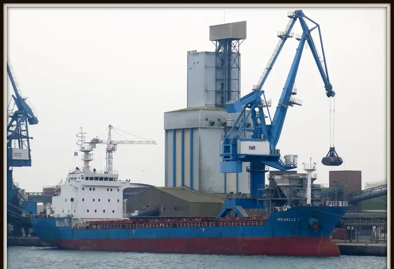 MICHELLE 1 Bulk Carrier IMO 9516246 photo 4