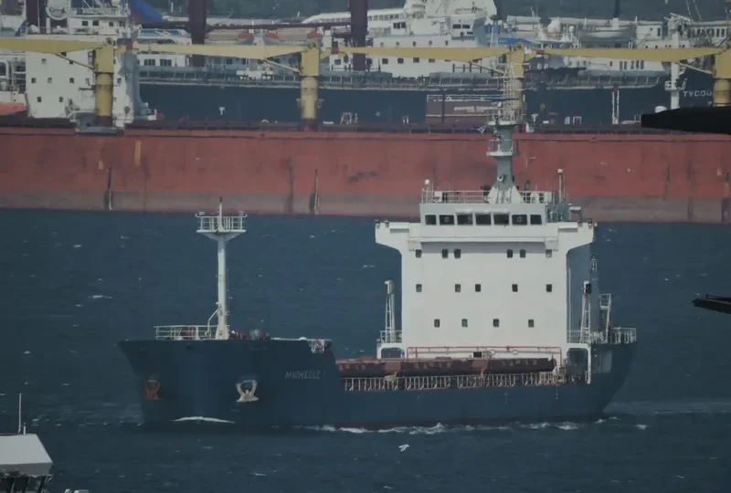 MICHELLE 1 Bulk Carrier IMO 9516246 photo 7