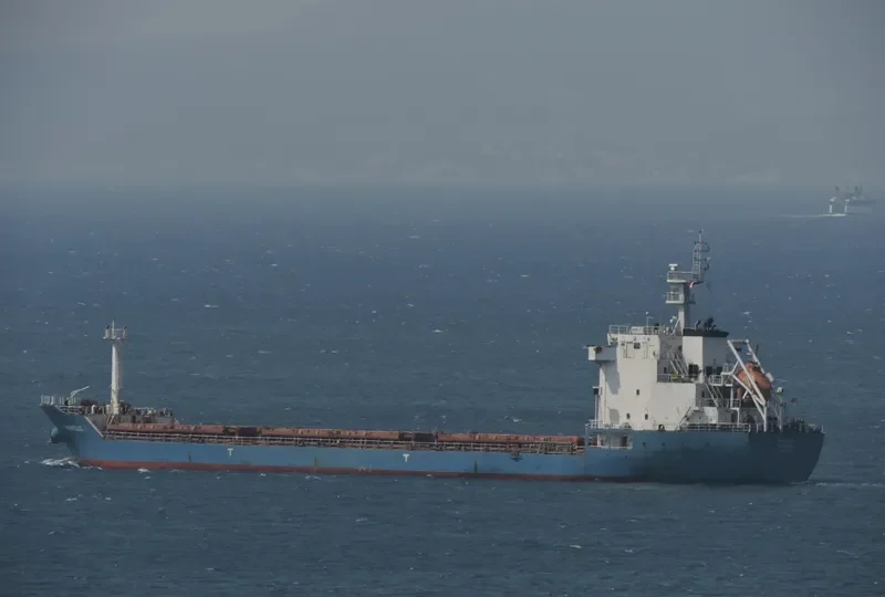 MICHELLE 1 Bulk Carrier IMO 9516246 photo 9