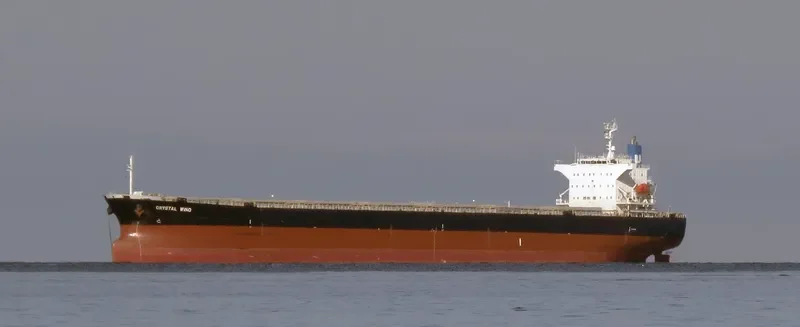 LEMESSOS WIND Bulk Carrier IMO 9516399 photo 3