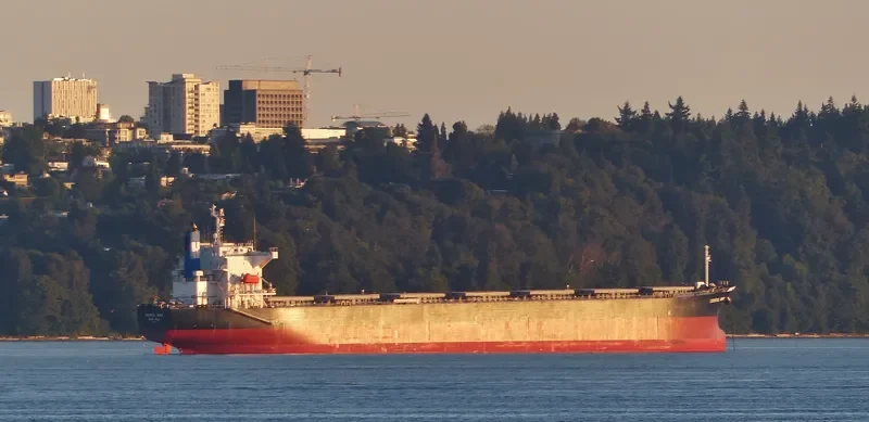 LEMESSOS WIND Bulk Carrier IMO 9516399 photo 4