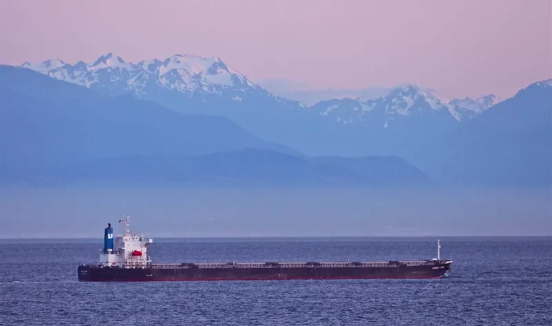 LEMESSOS WIND Bulk Carrier IMO 9516399 photo 8