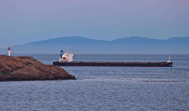 LEMESSOS WIND Bulk Carrier IMO 9516399 photo 9