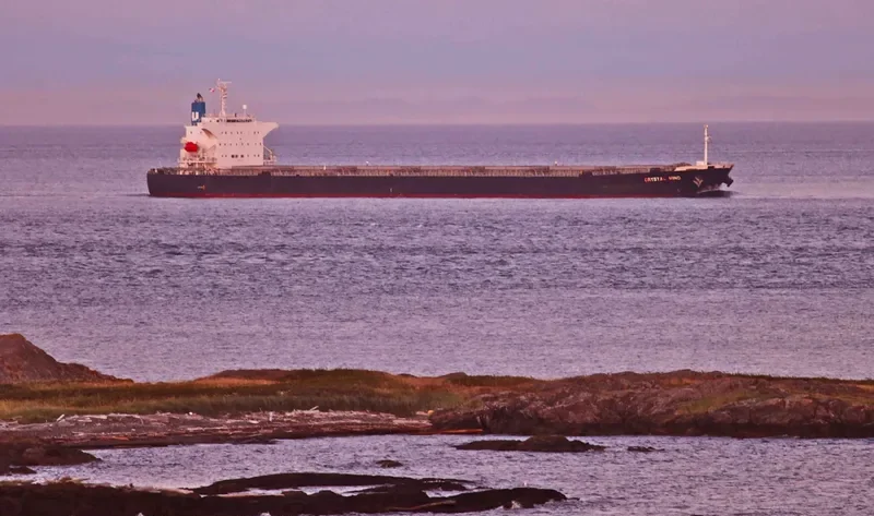 LEMESSOS WIND Bulk Carrier IMO 9516399 photo 10