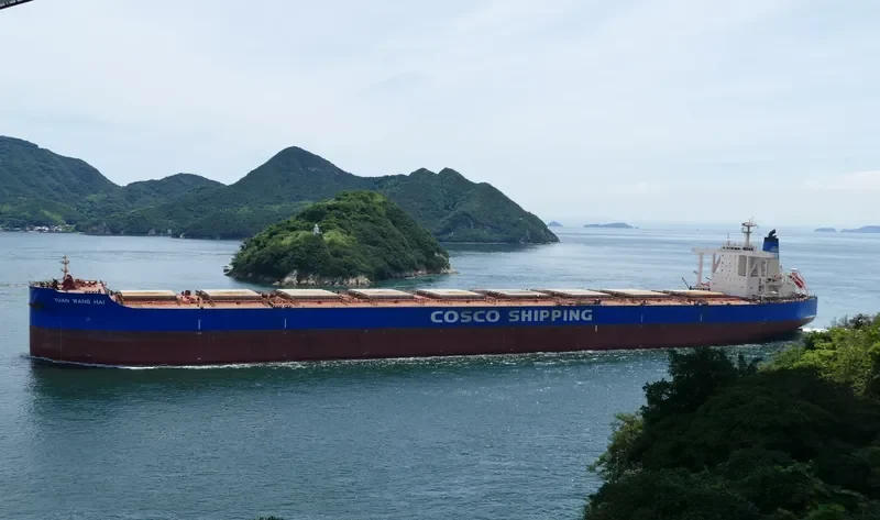 YUAN WANG HAI Bulk Carrier IMO 9516519 photo 10