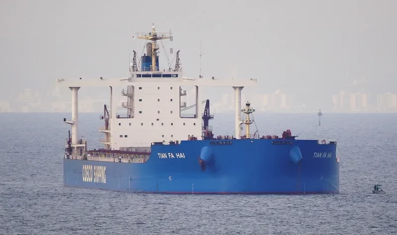 TIAN FA HAI Bulk Carrier IMO 9516521 photo 5