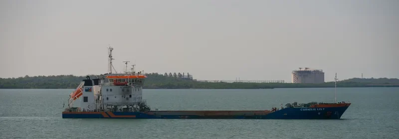 CORNELIS LELY General Cargo IMO 9516674 photo 3