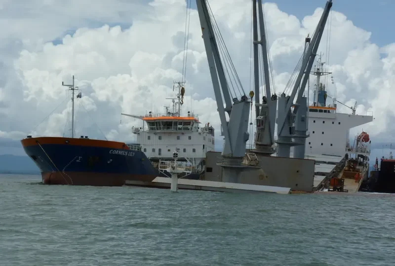 CORNELIS LELY General Cargo IMO 9516674 photo 6