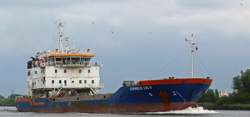 CORNELIS LELY General Cargo IMO 9516674 photo 10