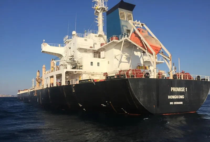 TBC BADRINATH Bulk Carrier IMO 9516698 photo 4