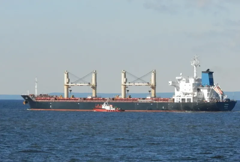 TBC BADRINATH Bulk Carrier IMO 9516698 photo 6