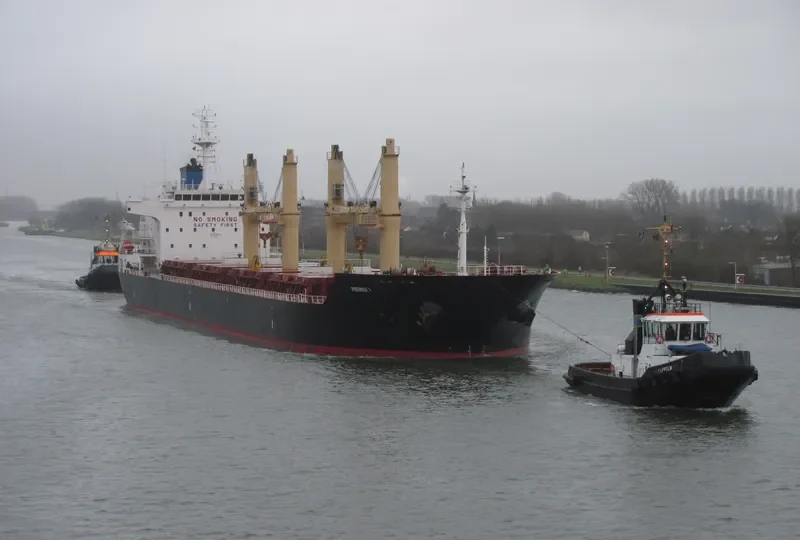 TBC BADRINATH Bulk Carrier IMO 9516698 photo 8