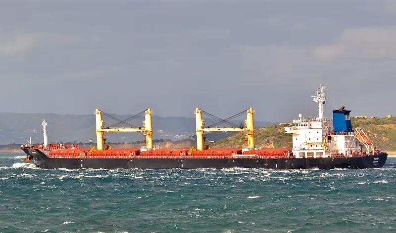 TBC BADRINATH Bulk Carrier IMO 9516698 photo 9