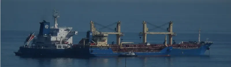ELPIS Bulk Carrier IMO 9516703