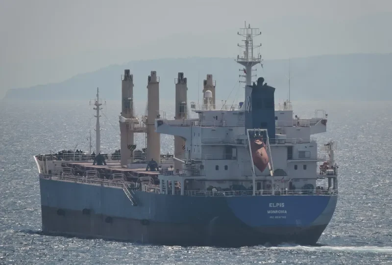 ELPIS Bulk Carrier IMO 9516703 photo 2