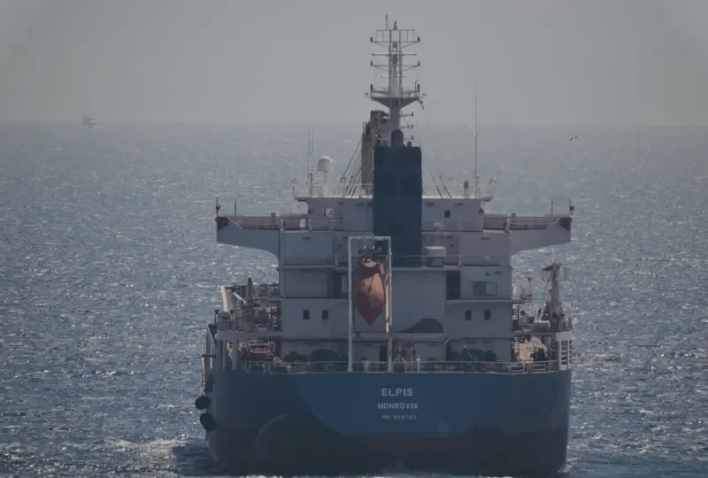 ELPIS Bulk Carrier IMO 9516703 photo 3