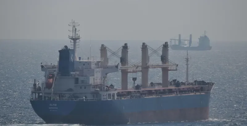 ELPIS Bulk Carrier IMO 9516703 photo 4