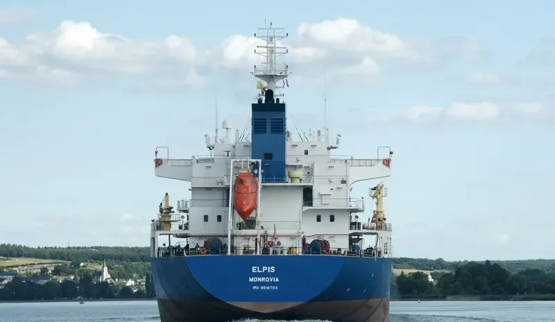 ELPIS Bulk Carrier IMO 9516703 photo 6