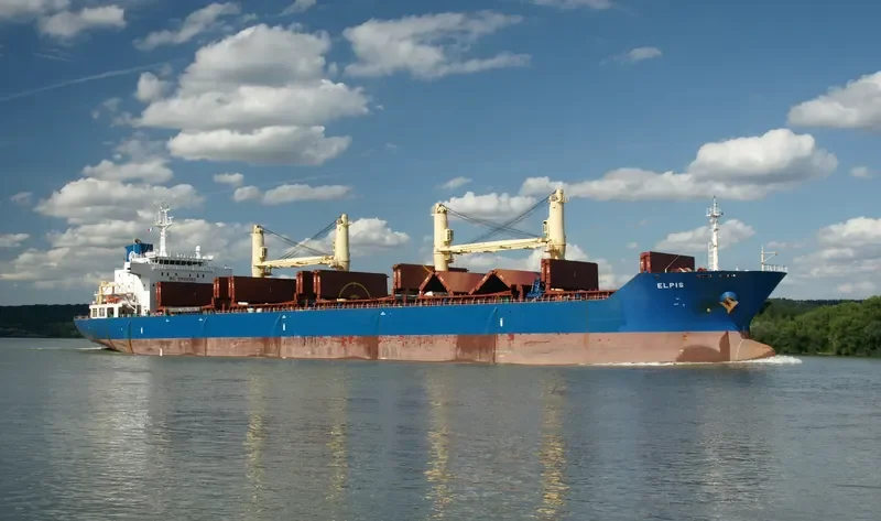 ELPIS Bulk Carrier IMO 9516703 photo 8