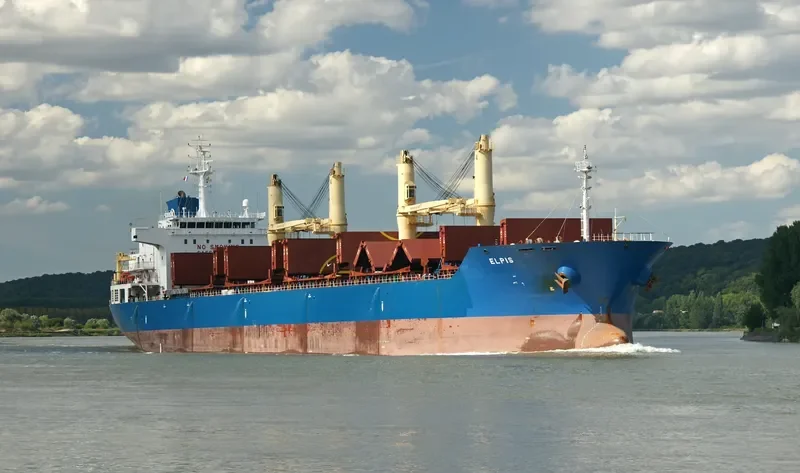 ELPIS Bulk Carrier IMO 9516703 photo 9