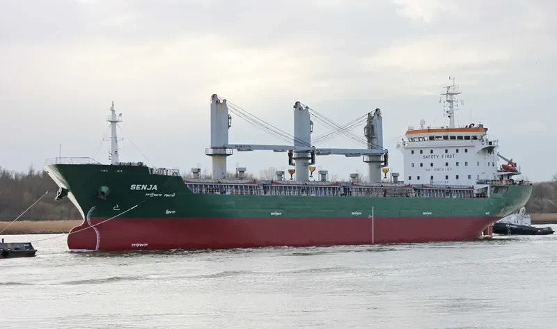 EMESA General Cargo IMO 9516868 photo 6