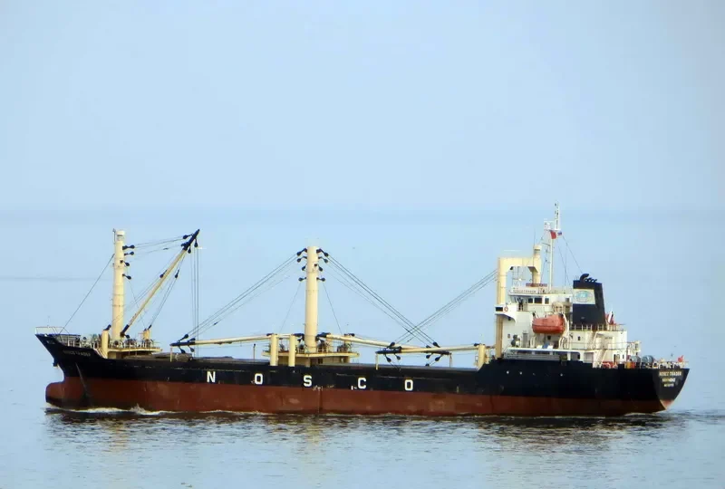 PHUONG DONG 10 General Cargo IMO 9517135