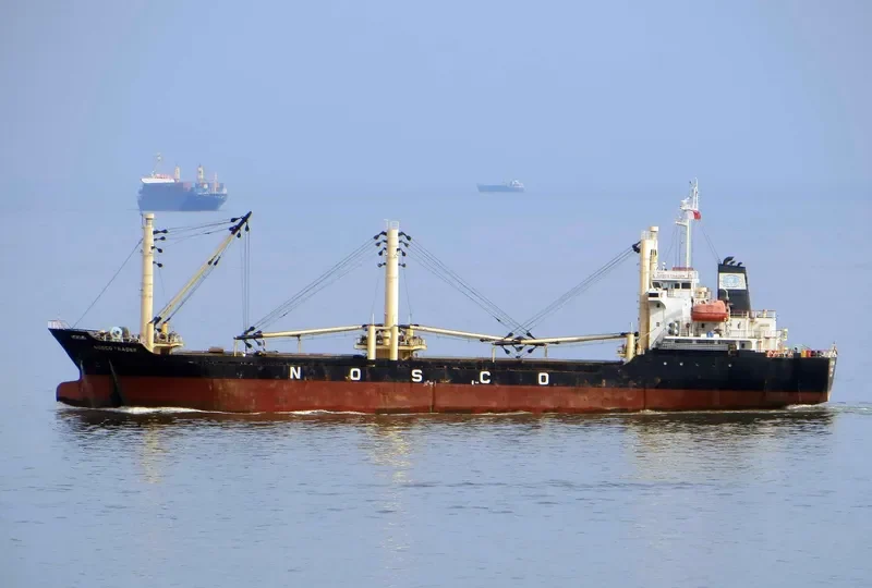 PHUONG DONG 10 General Cargo IMO 9517135 photo 2