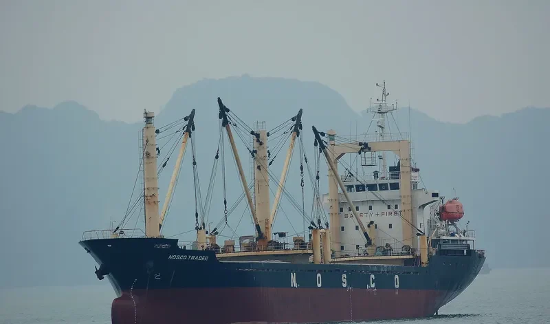 PHUONG DONG 10 General Cargo IMO 9517135 photo 3