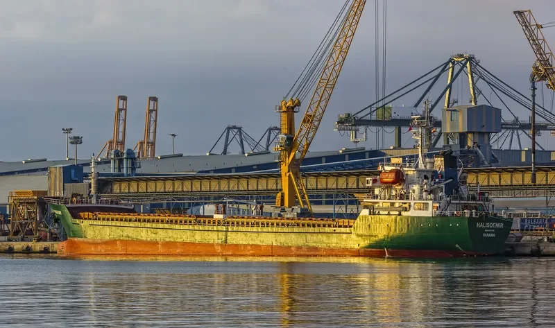 HALISDEMIR Bulk Carrier IMO 9517331