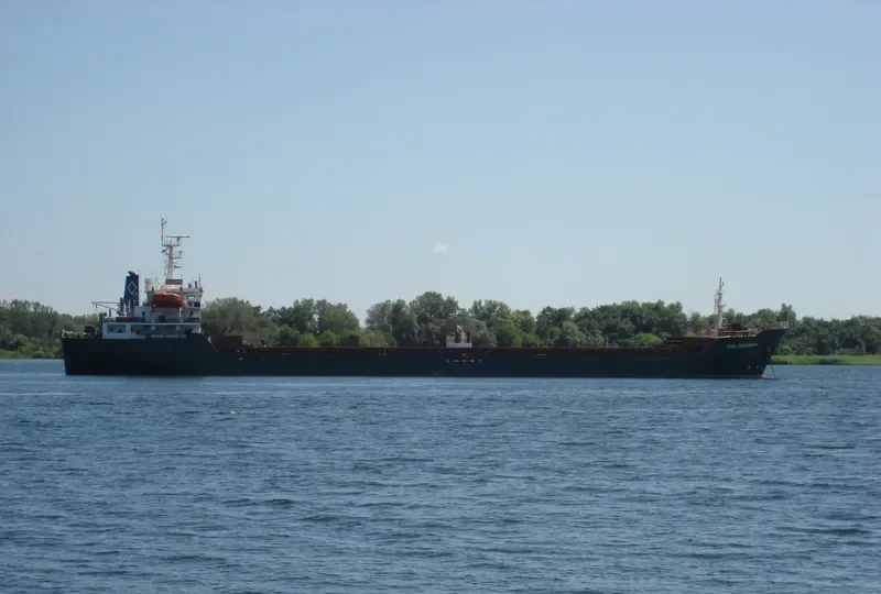 HALISDEMIR Bulk Carrier IMO 9517331 photo 2