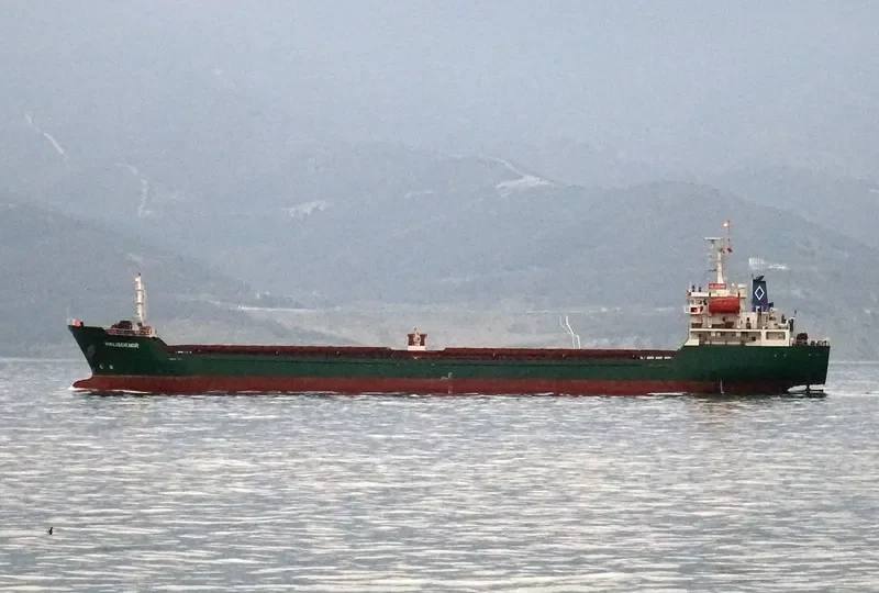 HALISDEMIR Bulk Carrier IMO 9517331 photo 5