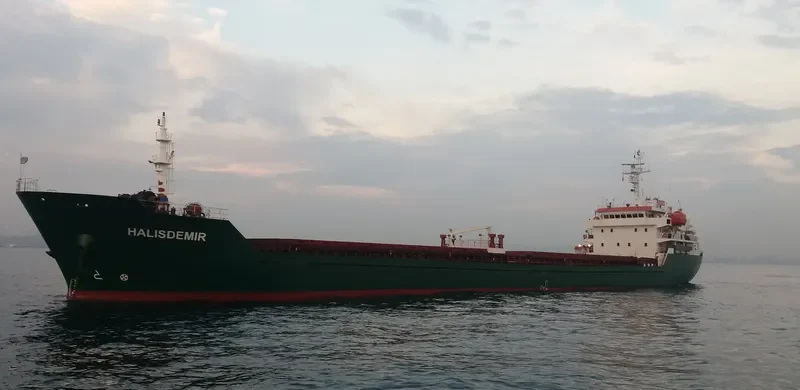 HALISDEMIR Bulk Carrier IMO 9517331 photo 6