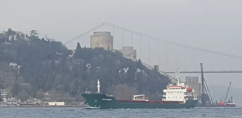 HALISDEMIR Bulk Carrier IMO 9517331 photo 8