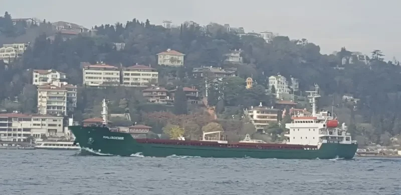 HALISDEMIR Bulk Carrier IMO 9517331 photo 10