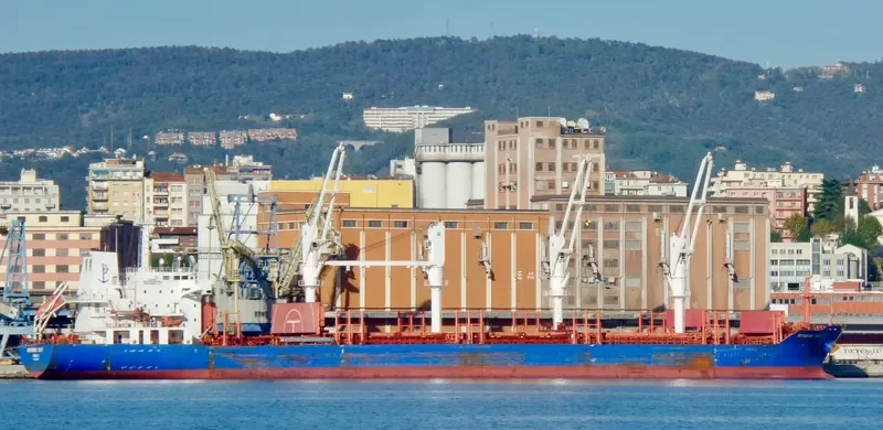 MYKONOS BAY Bulk Carrier IMO 9517549 photo 3