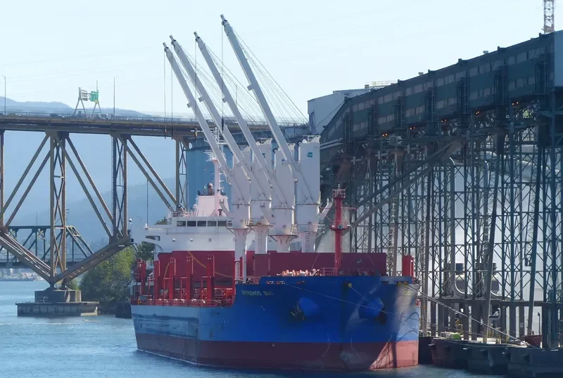 MYKONOS BAY Bulk Carrier IMO 9517549 photo 5