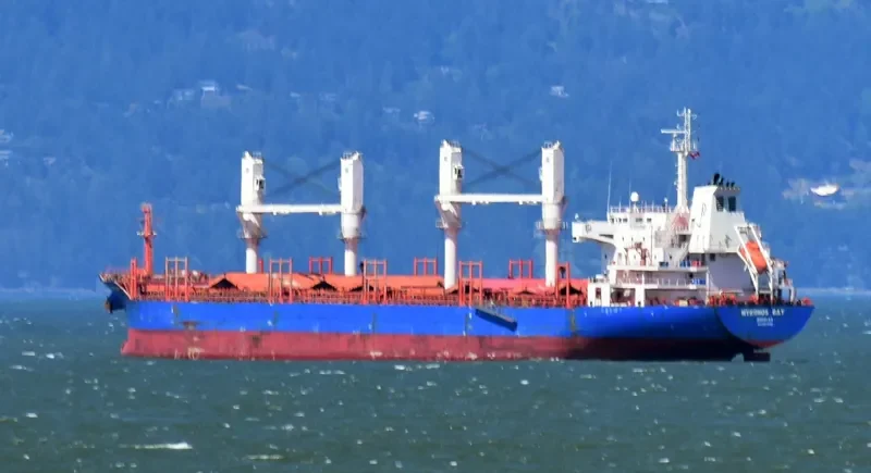MYKONOS BAY Bulk Carrier IMO 9517549 photo 7
