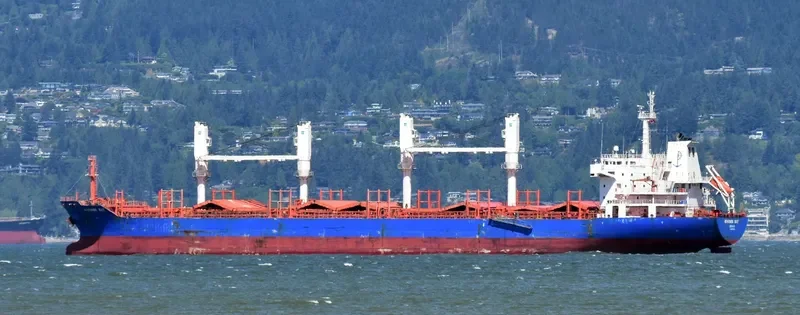 MYKONOS BAY Bulk Carrier IMO 9517549 photo 8