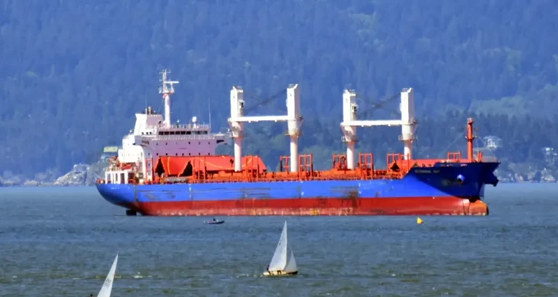 MYKONOS BAY Bulk Carrier IMO 9517549 photo 9