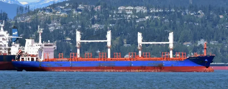 MYKONOS BAY Bulk Carrier IMO 9517549 photo 10