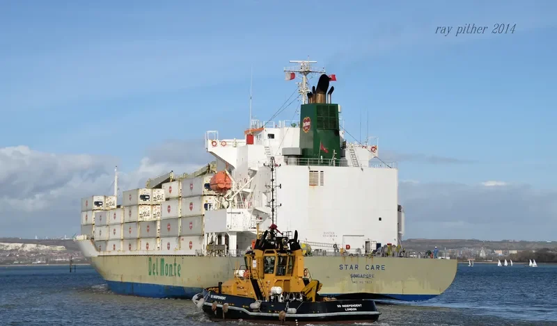 STAR CARE General Cargo IMO 9517903 photo 10