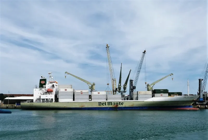 STAR ENDEAVOUR I General Cargo IMO 9517927