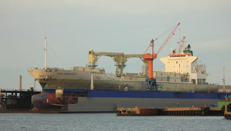 STAR ENDEAVOUR I General Cargo IMO 9517927 photo 2