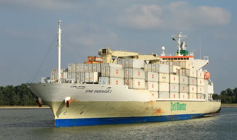 STAR ENDEAVOUR I General Cargo IMO 9517927 photo 3