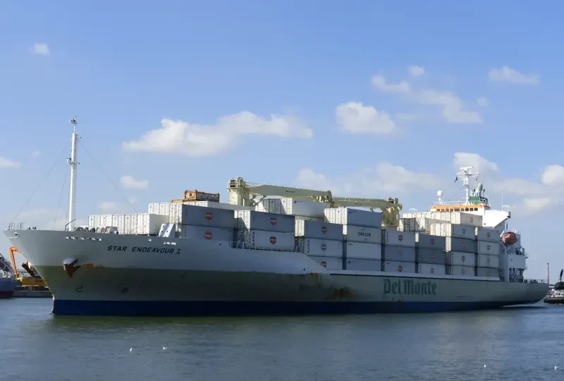 STAR ENDEAVOUR I General Cargo IMO 9517927 photo 5